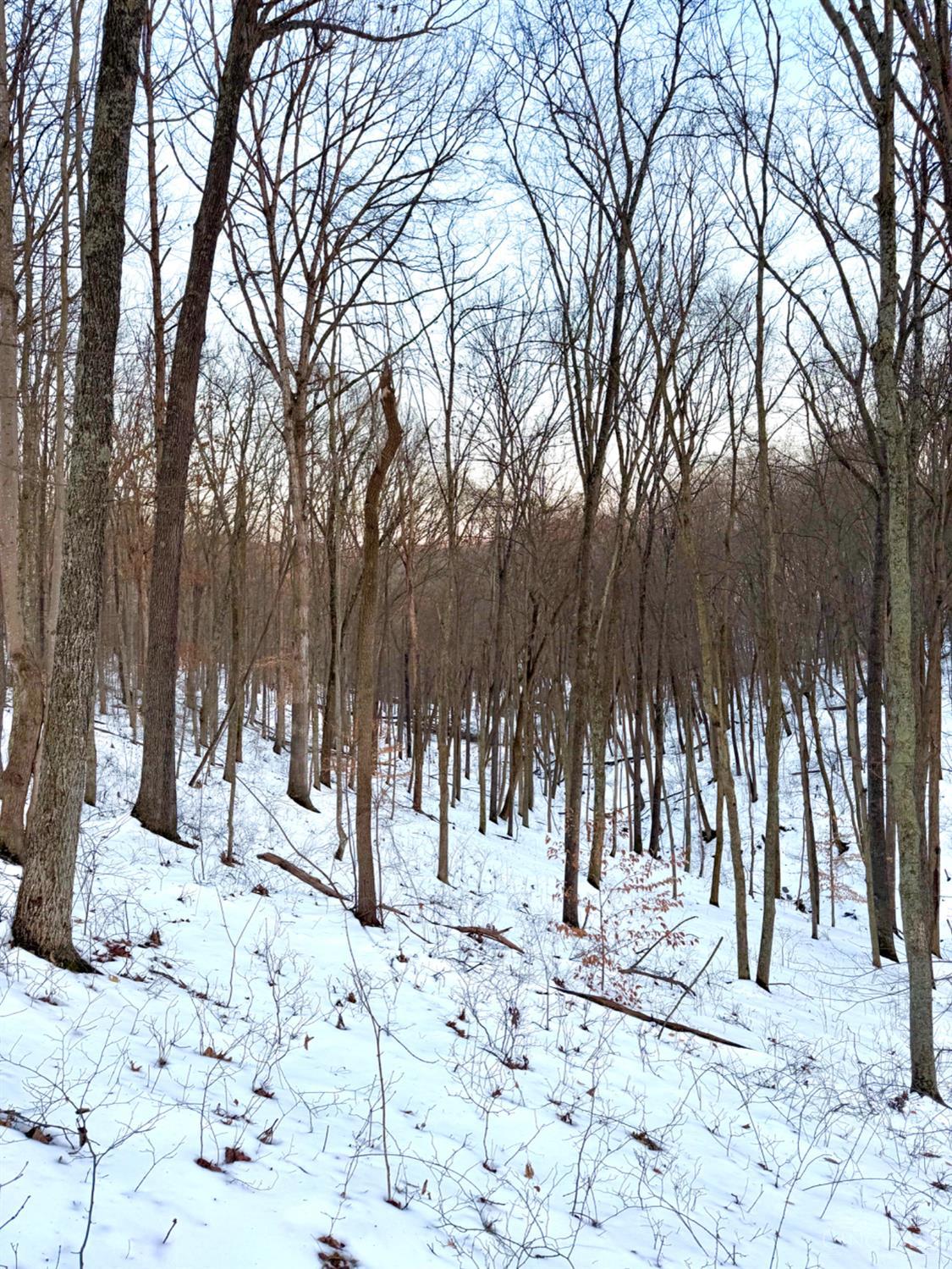 Carrs Run Property Photo 69