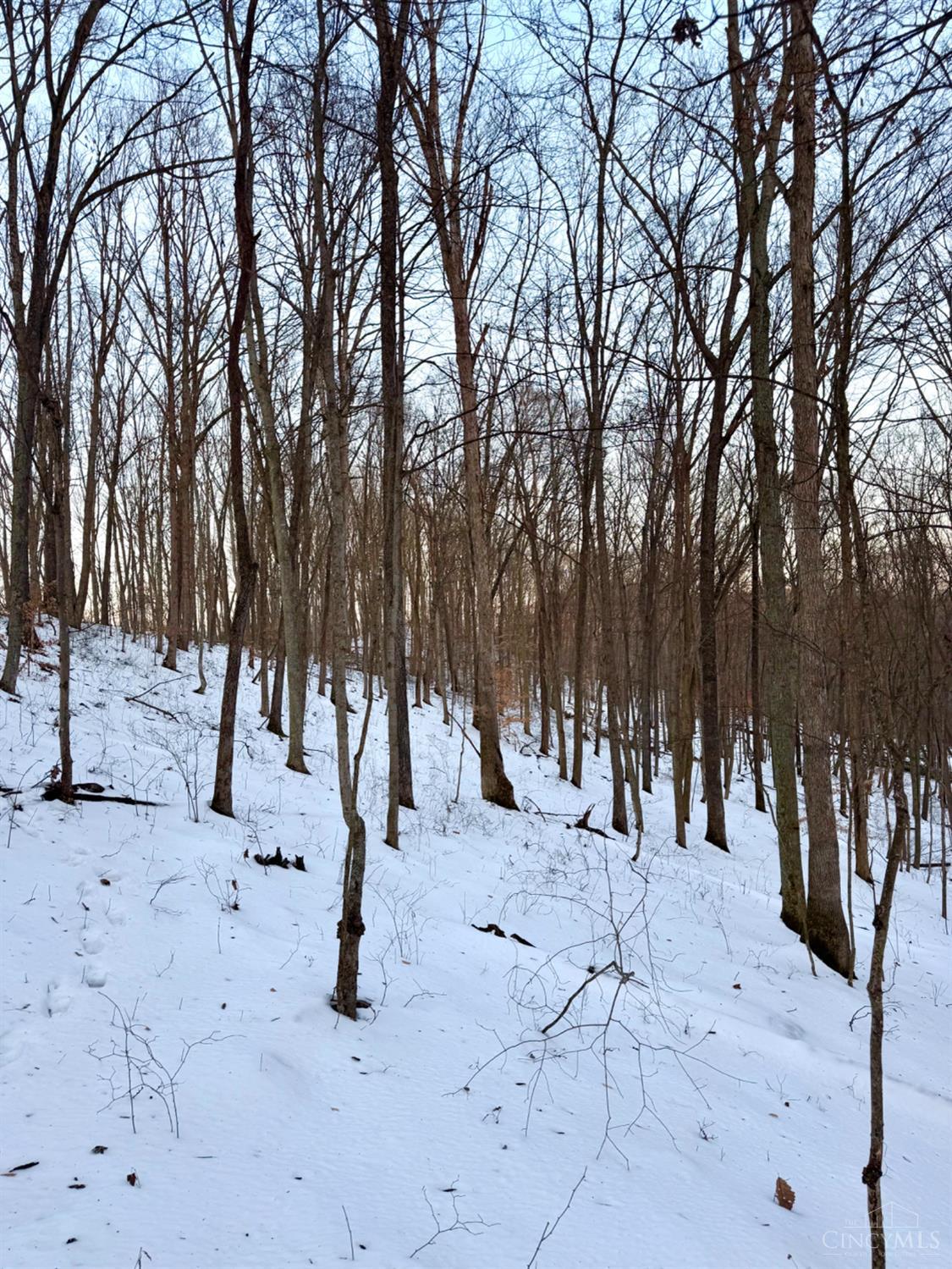 Carrs Run Property Photo 71