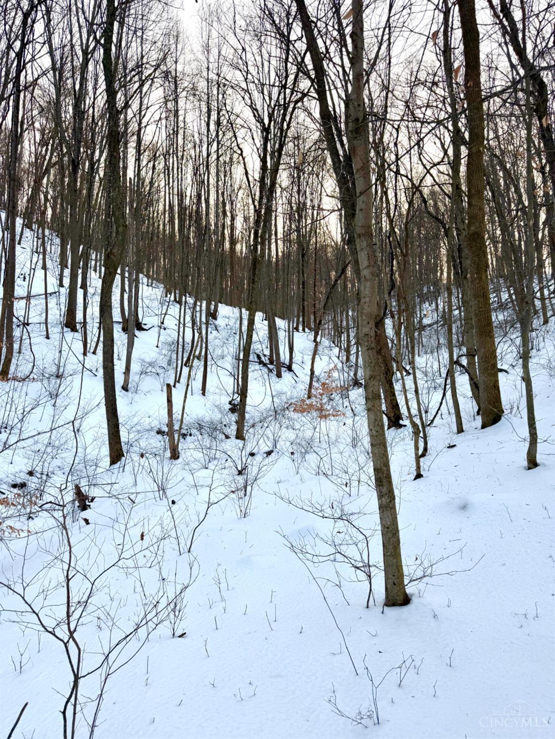 Carrs Run Property Photo 72