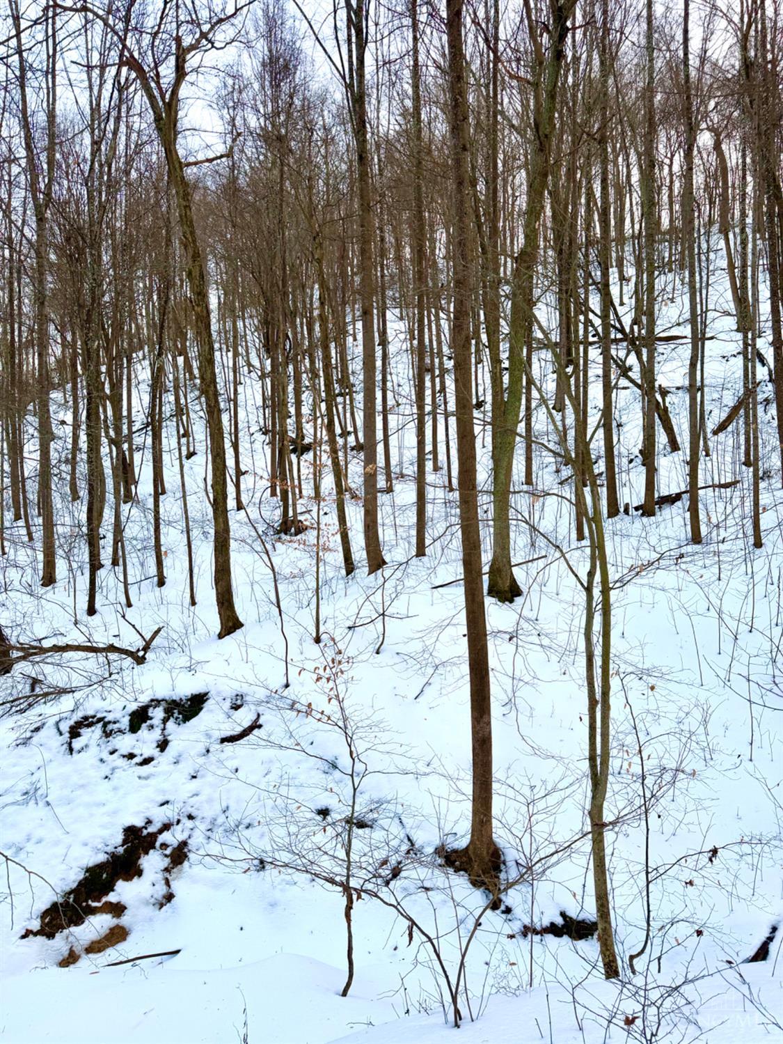 Carrs Run Property Photo 73