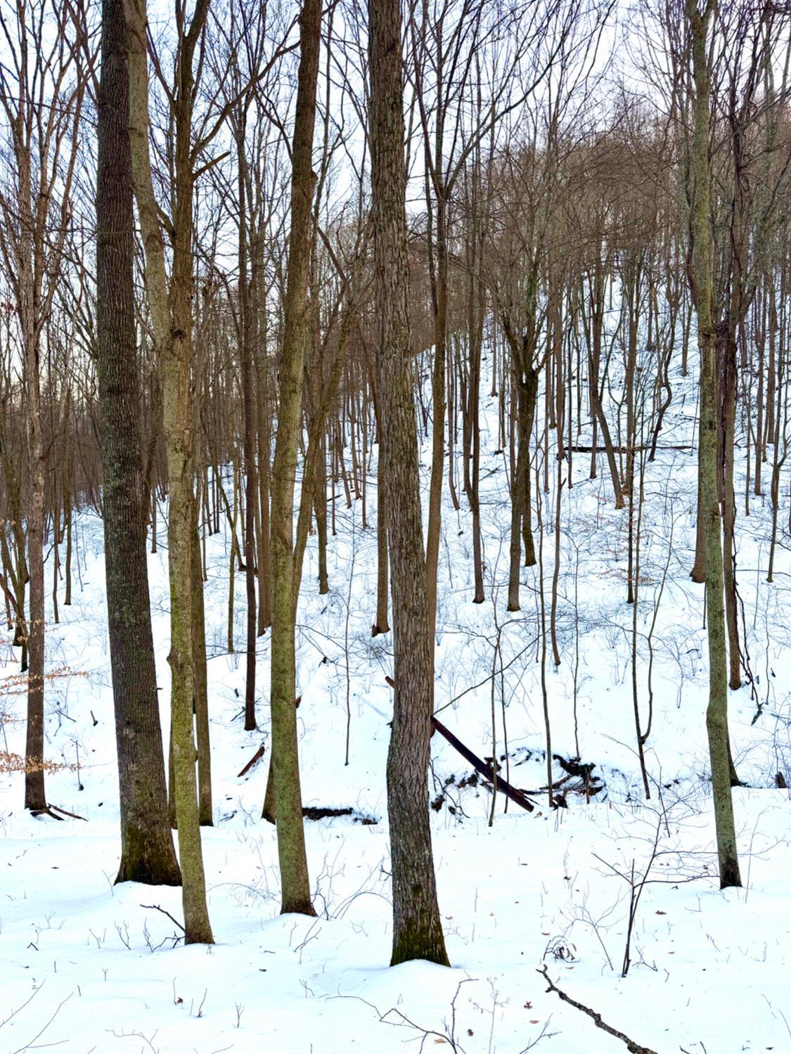 Carrs Run Property Photo 75