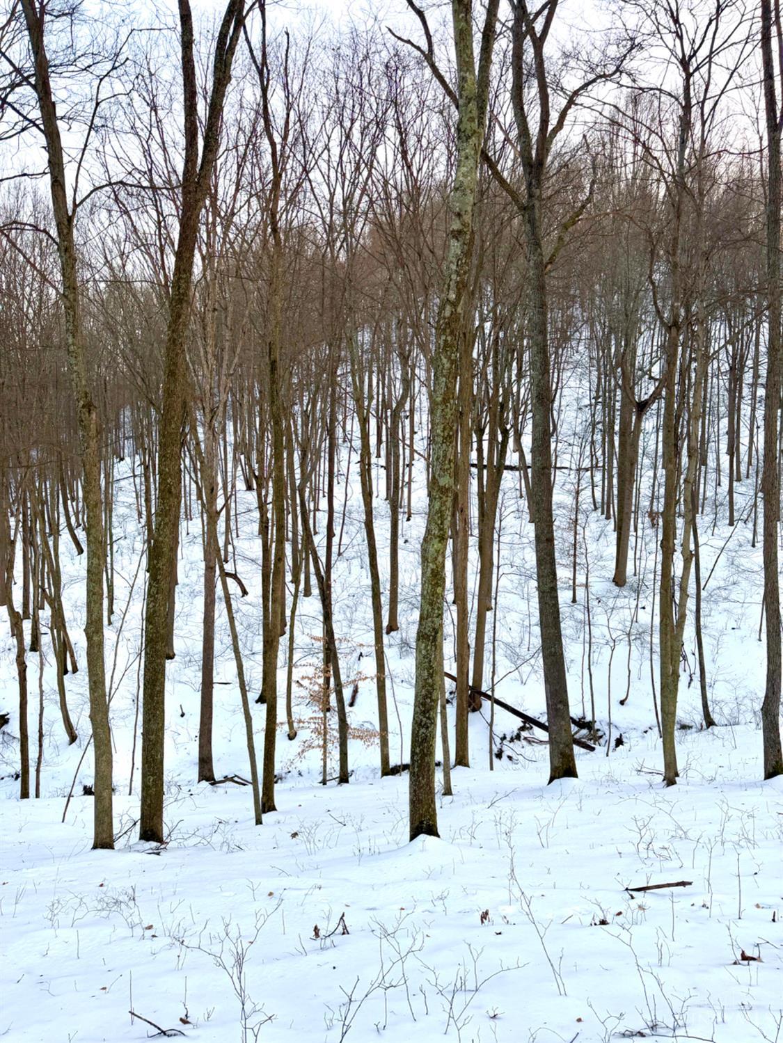 Carrs Run Property Photo 77