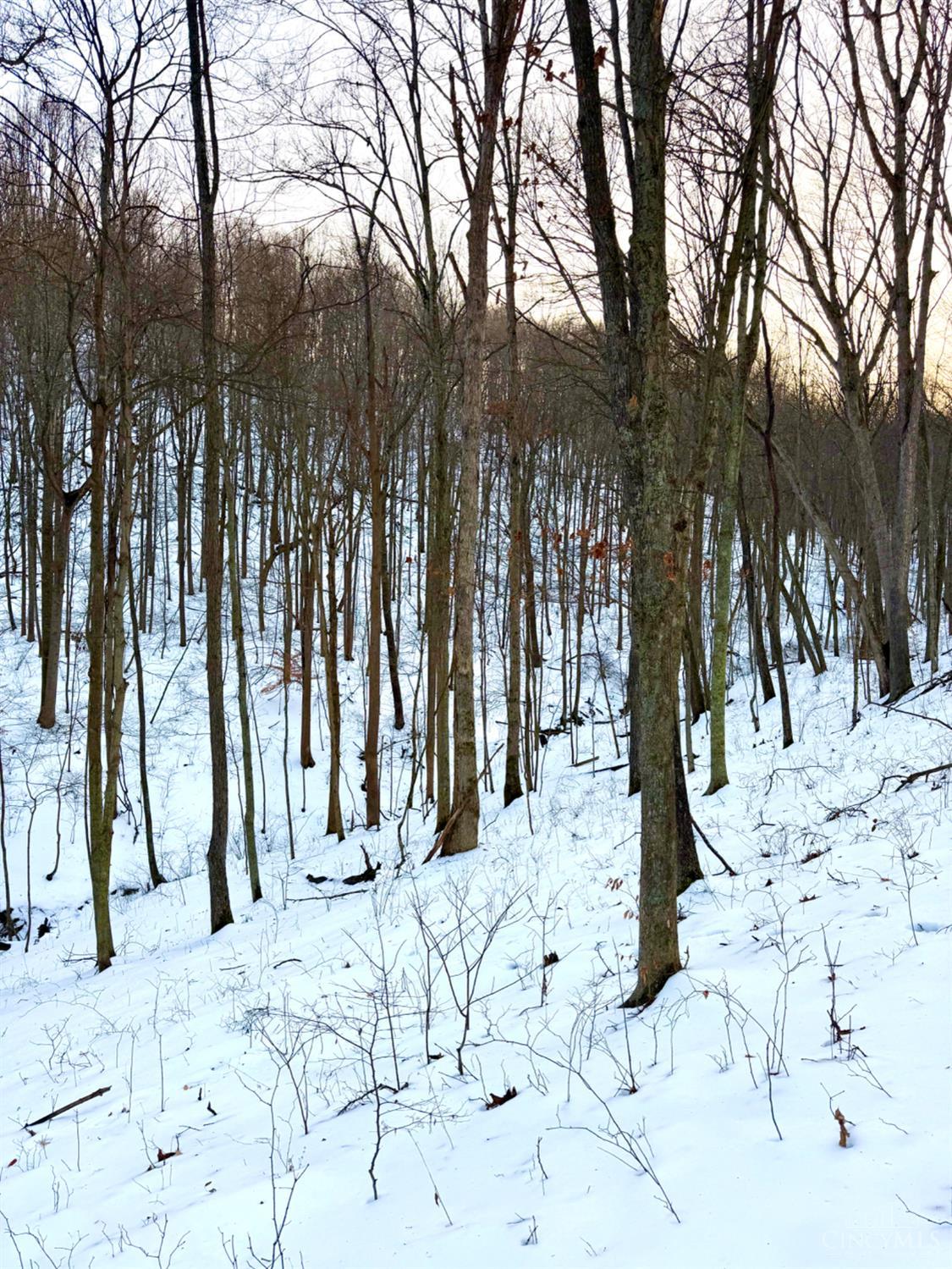 Carrs Run Property Photo 78