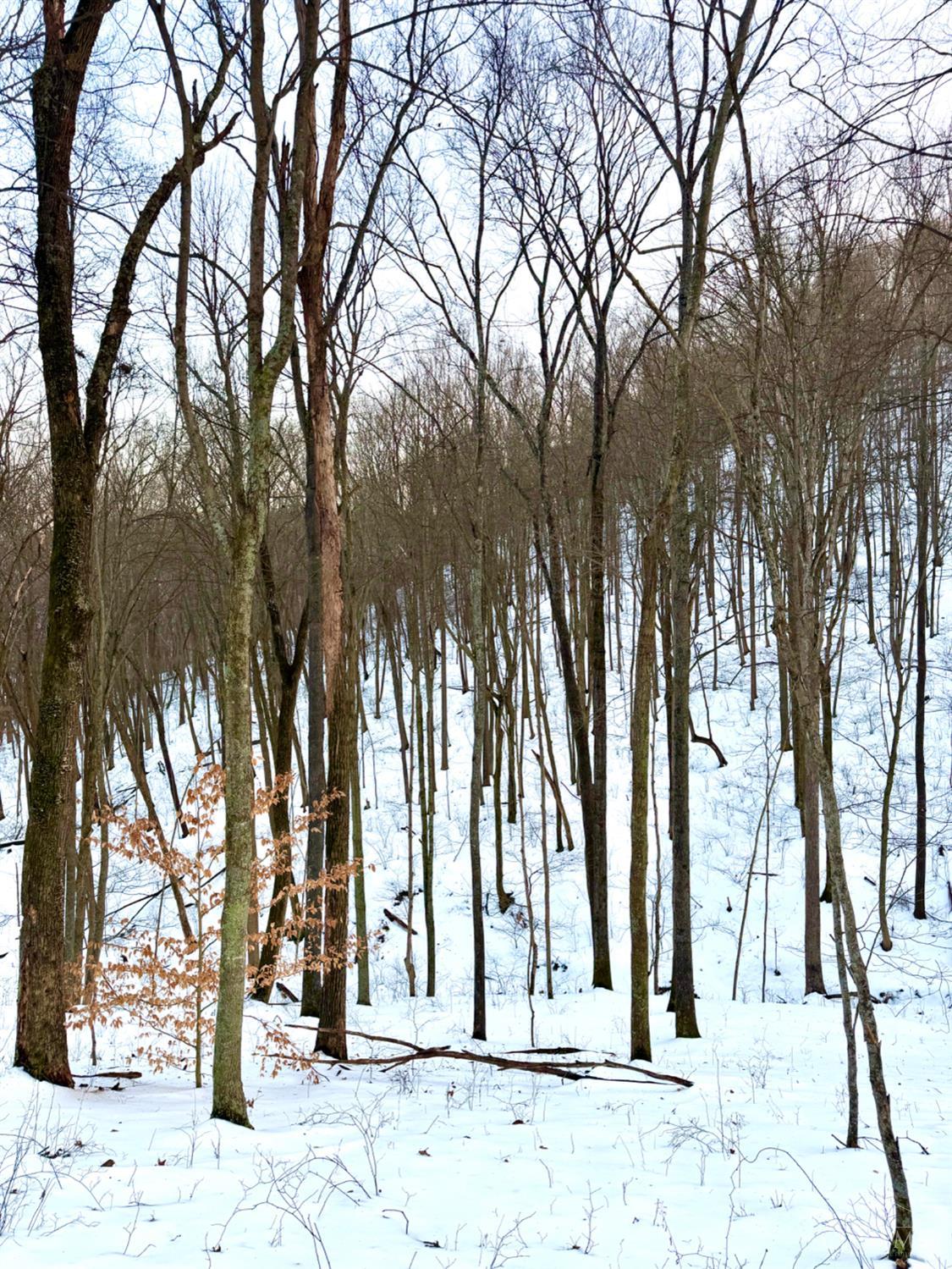 Carrs Run Property Photo 79