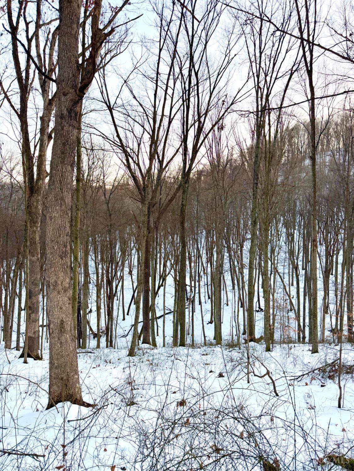 Carrs Run Property Photo 82