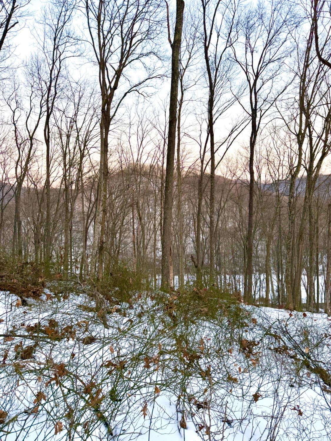 Carrs Run Property Photo 84