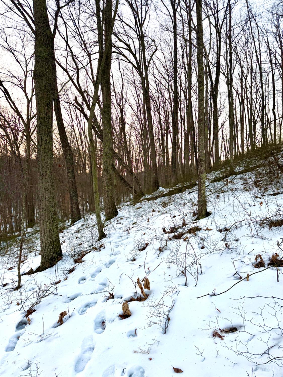 Carrs Run Property Photo 85