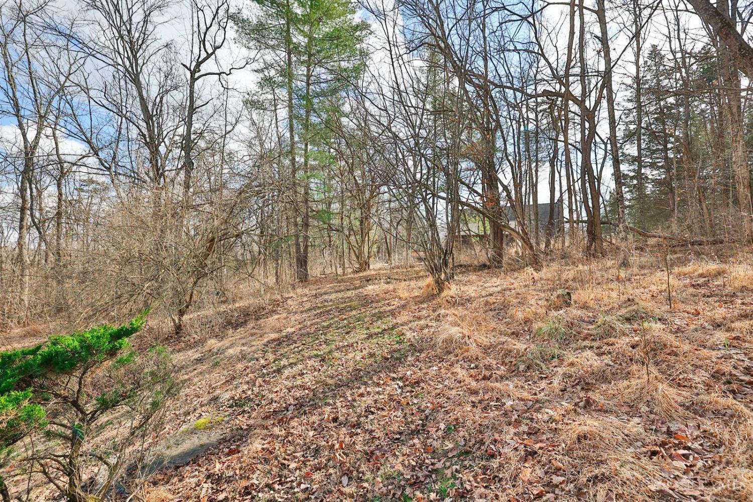 11675 New Biddinger Road Property Photo 46