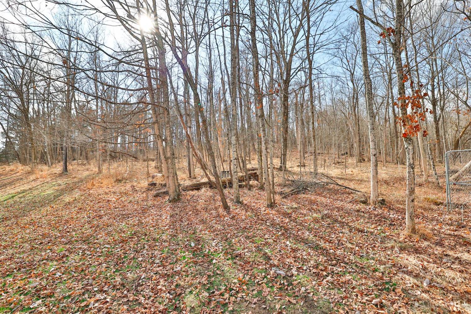 11675 New Biddinger Road Property Photo 48