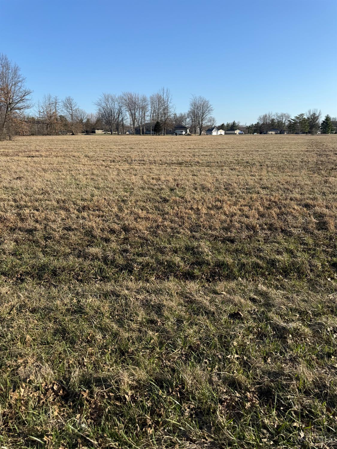 Tupelo Drive Property Photo 4