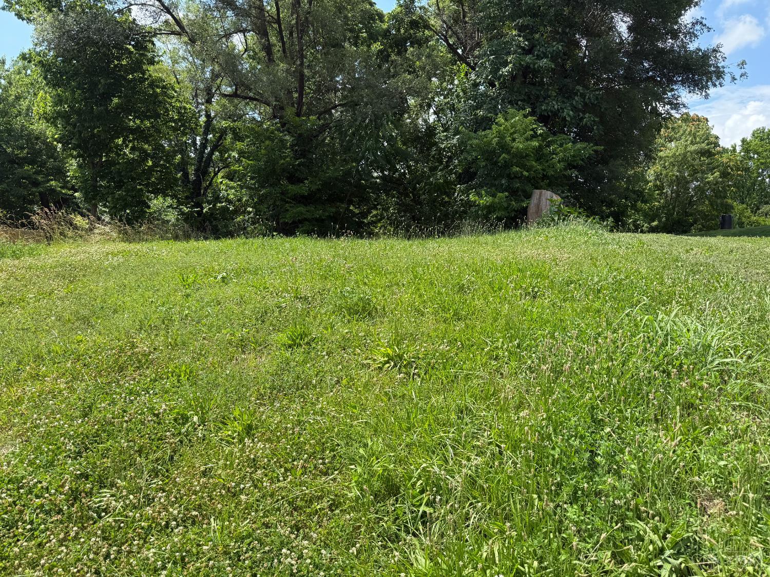 2221 Rice Street Property Photo 1