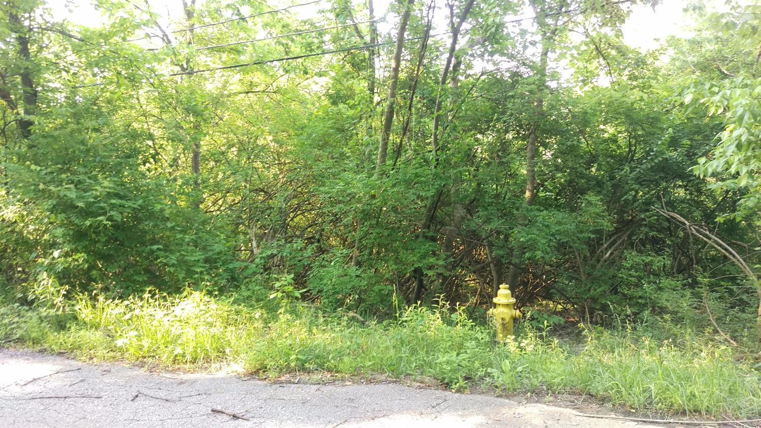 4658 Reemelin Avenue Property Photo 1