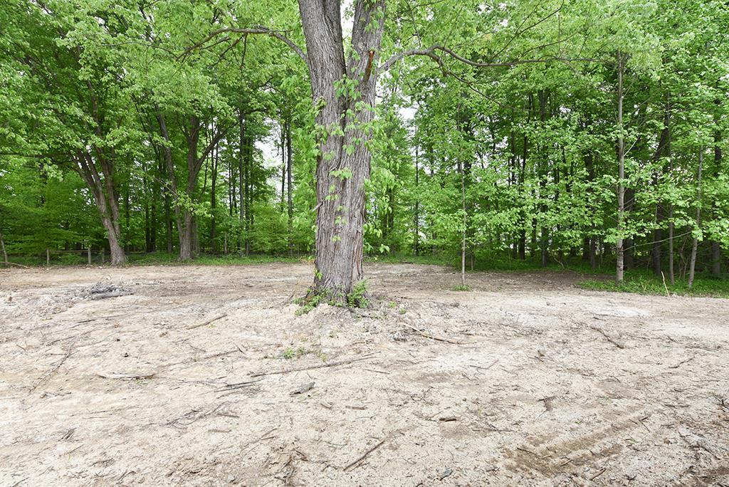 1542 Denny Drive Property Photo 17