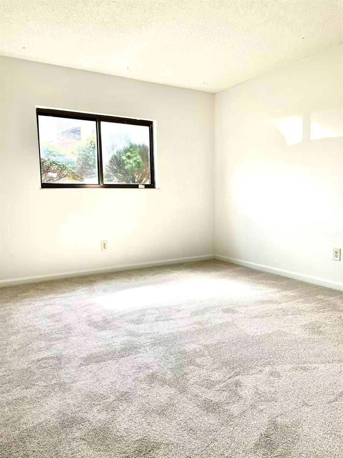 3920 Mack Road Property Photo 10