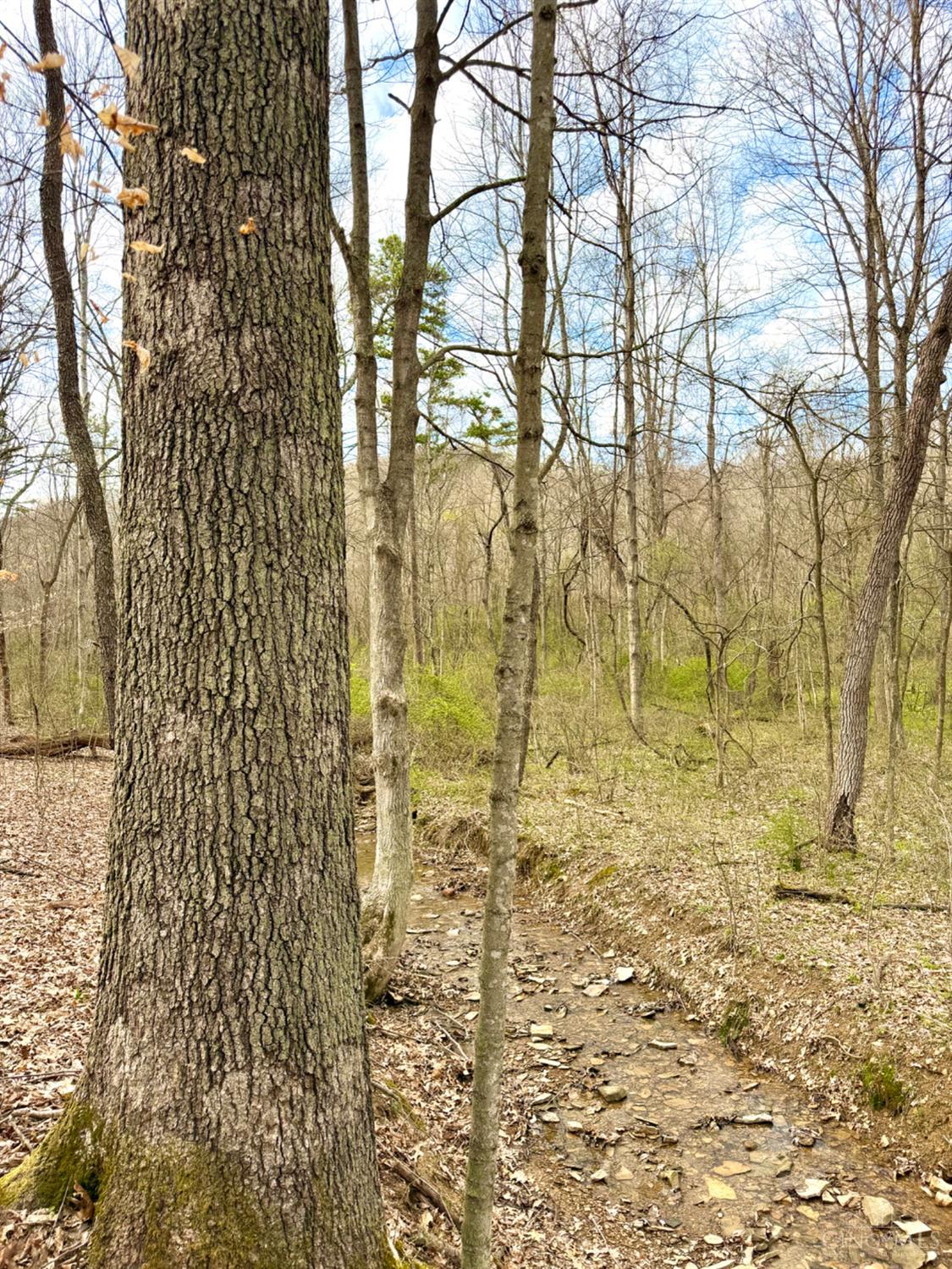 Fyffe Hollow Road Property Photo 1
