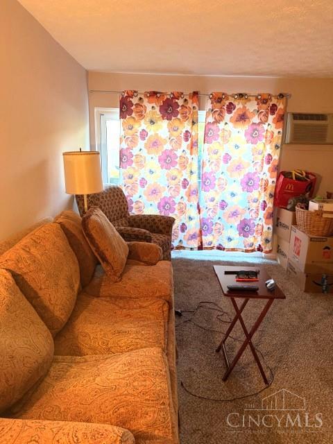 4906 Chalet Drive Property Photo 5