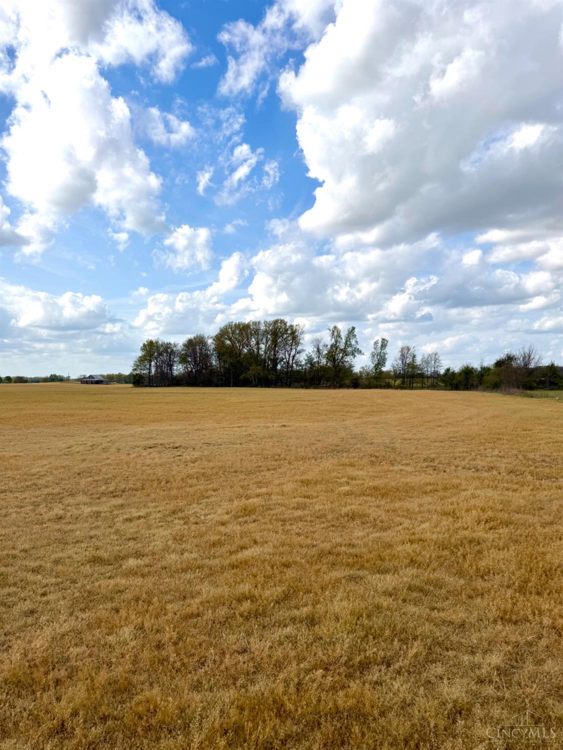 11732 Martin Alexander Road Property Photo 79