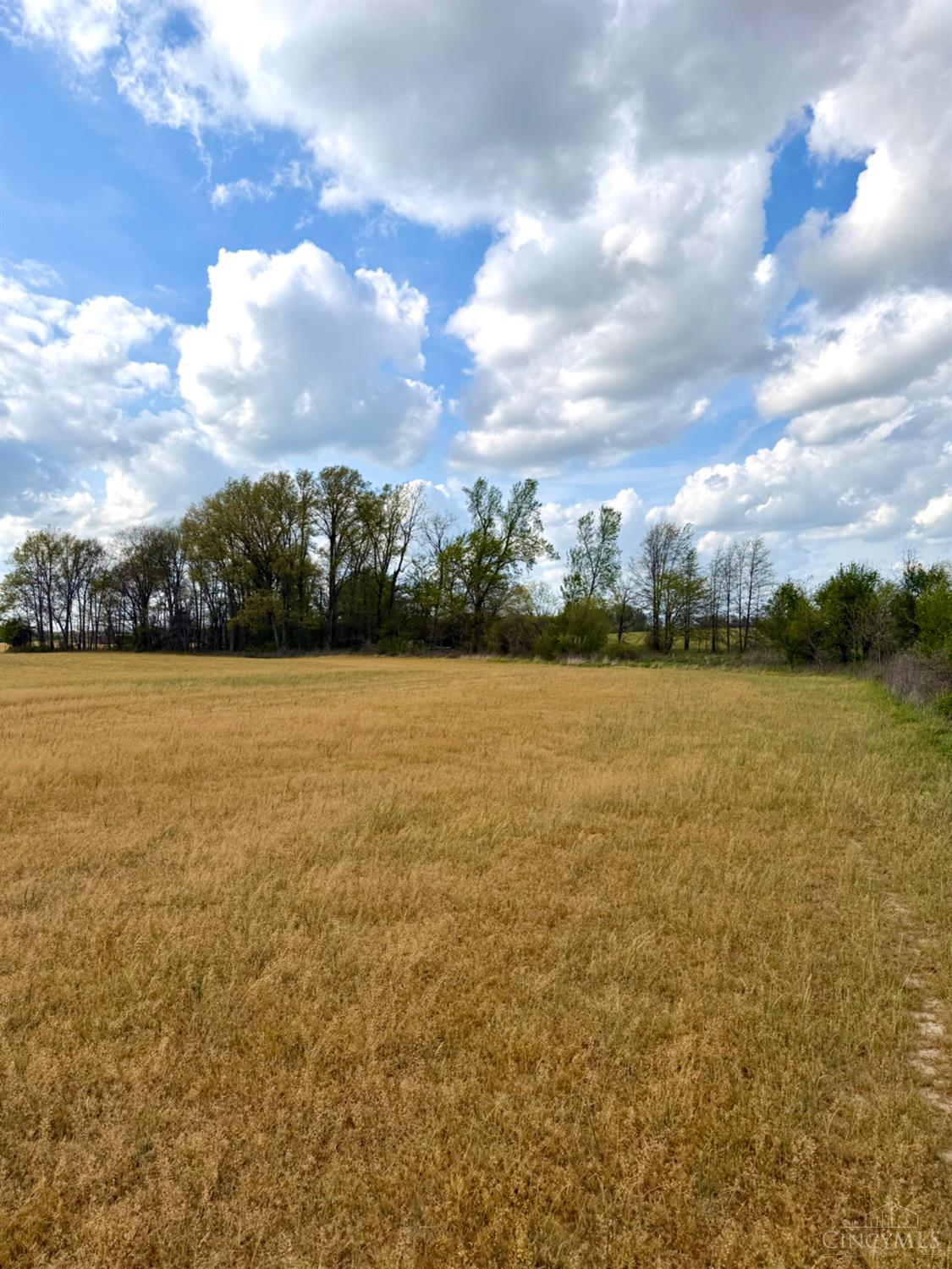 11732 Martin Alexander Road Property Photo 81