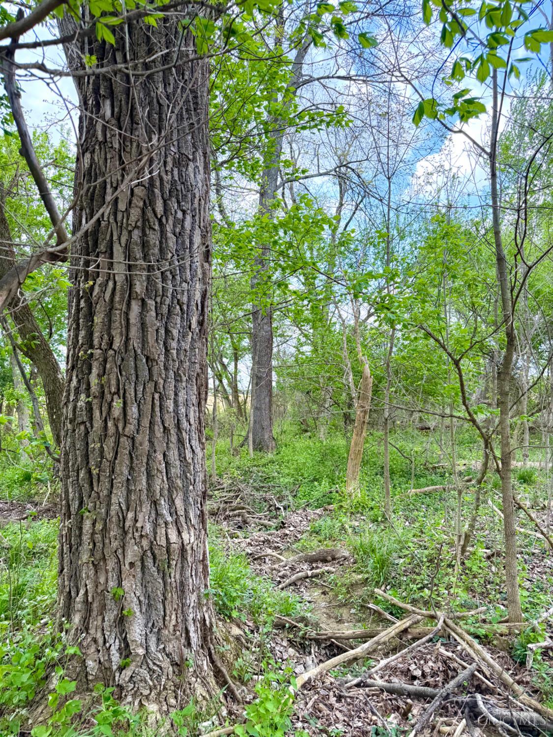 11732 Martin Alexander Road Property Photo 86