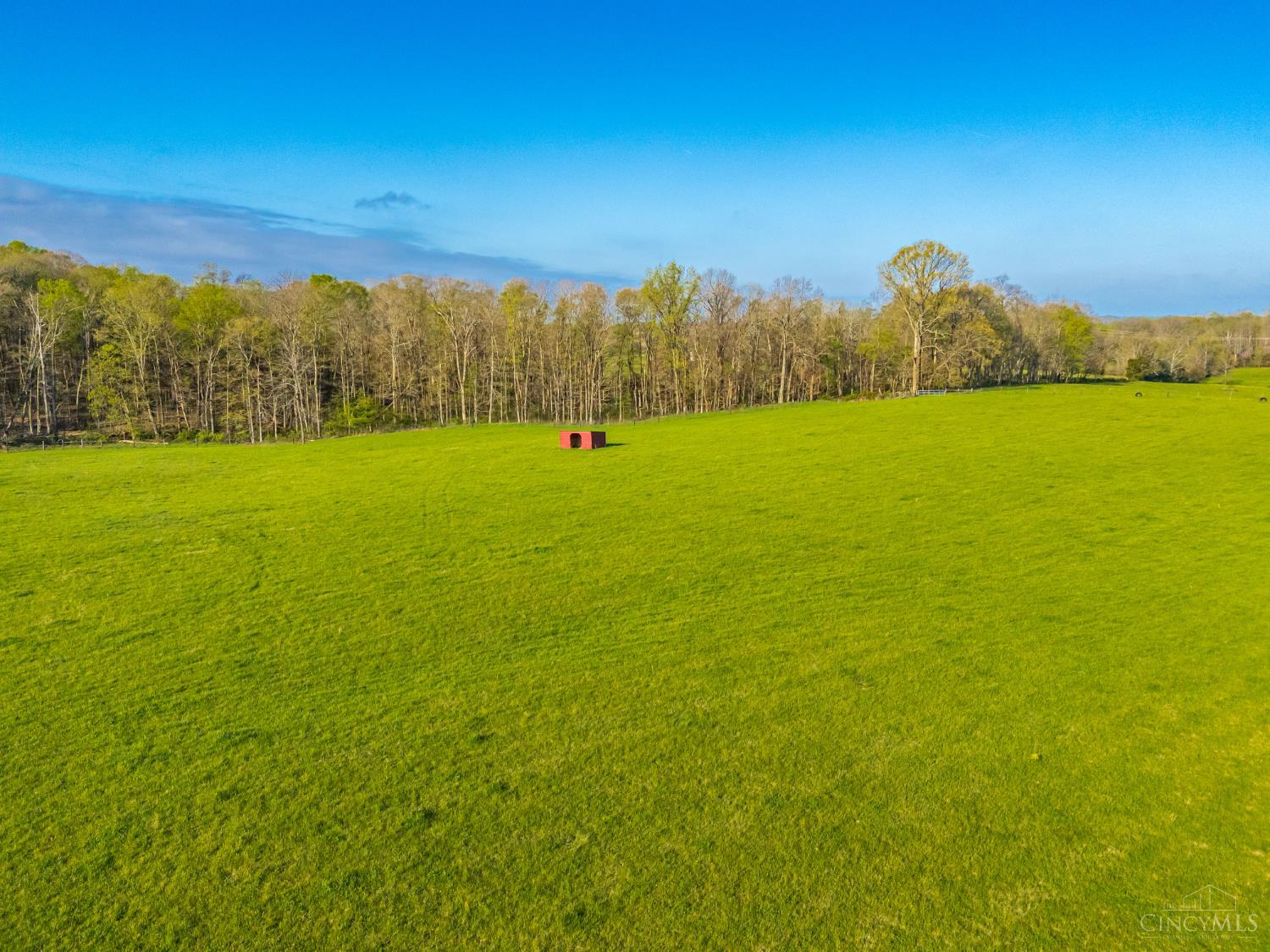 2375 Poplar Ridge Rd Property Photo 19