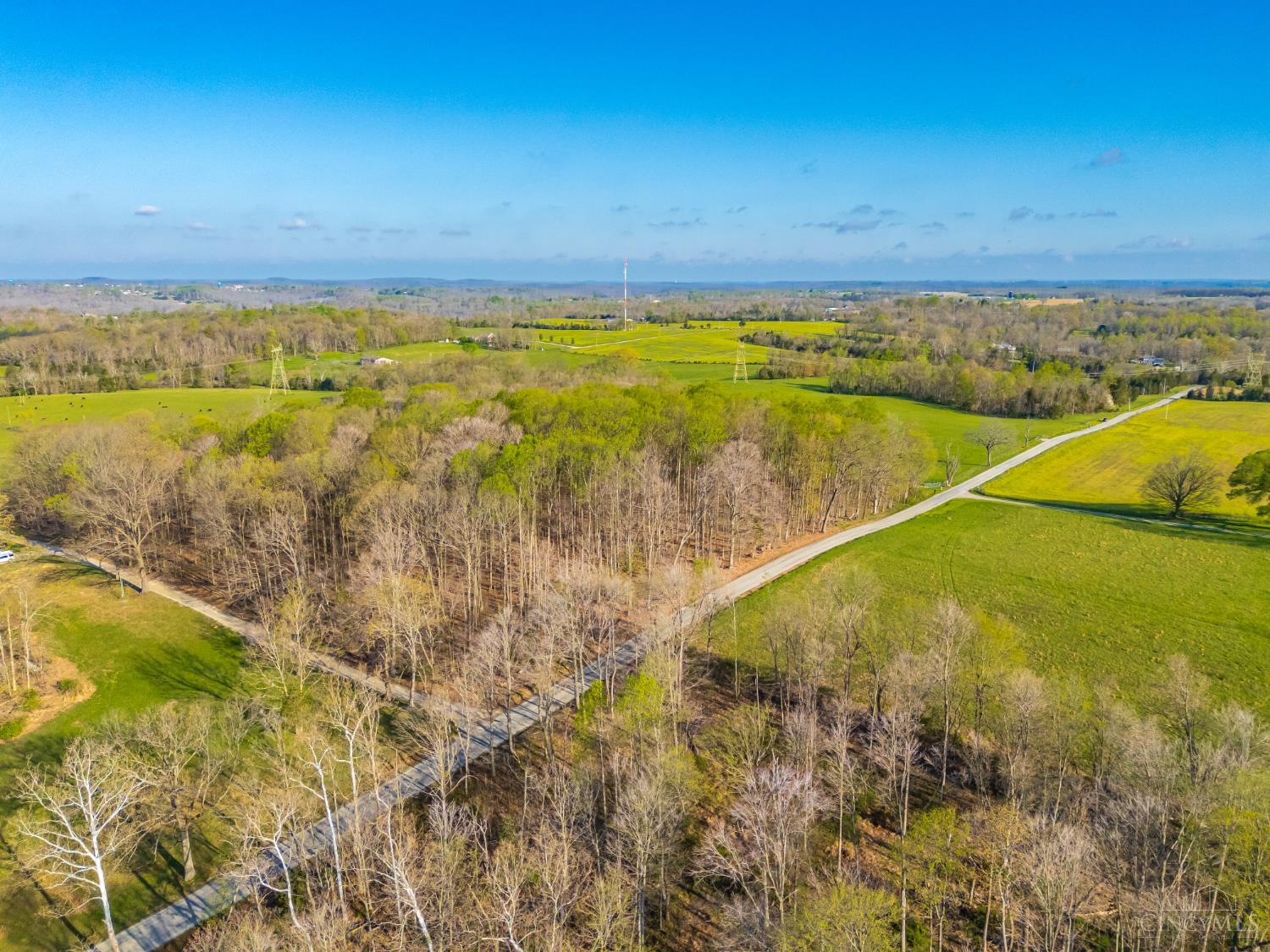 2375 Poplar Ridge Rd Property Photo 25