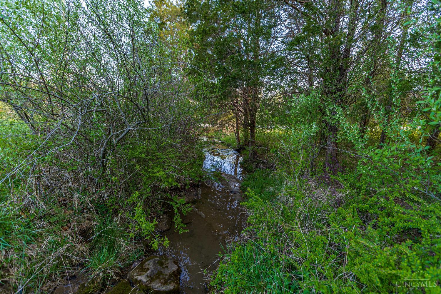 2375 Poplar Ridge Rd Property Photo 29
