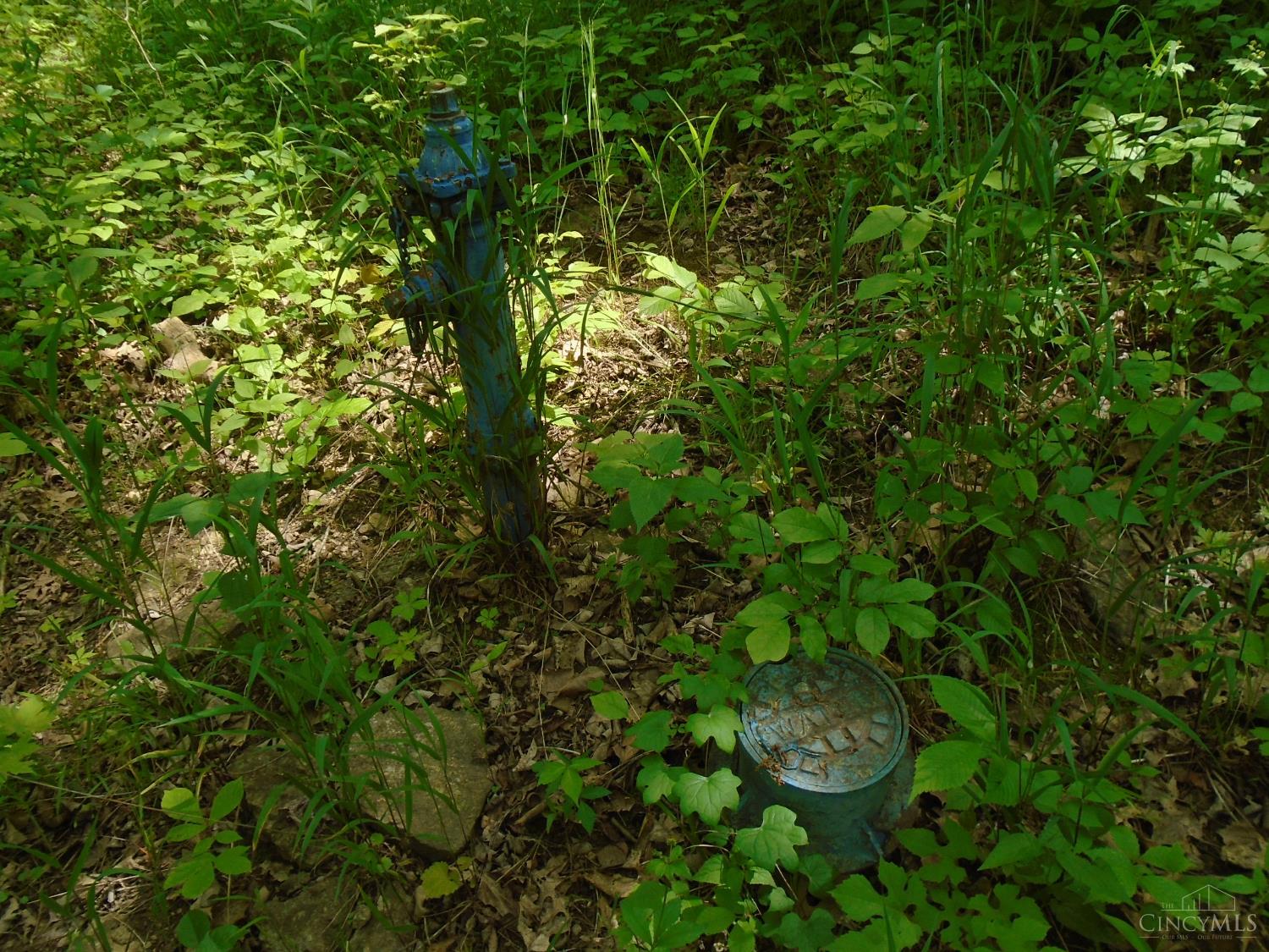 Rischforth Road Property Photo 11