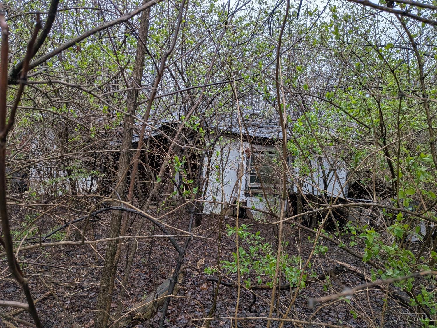 17046 Us Rt 68 Property Photo 2