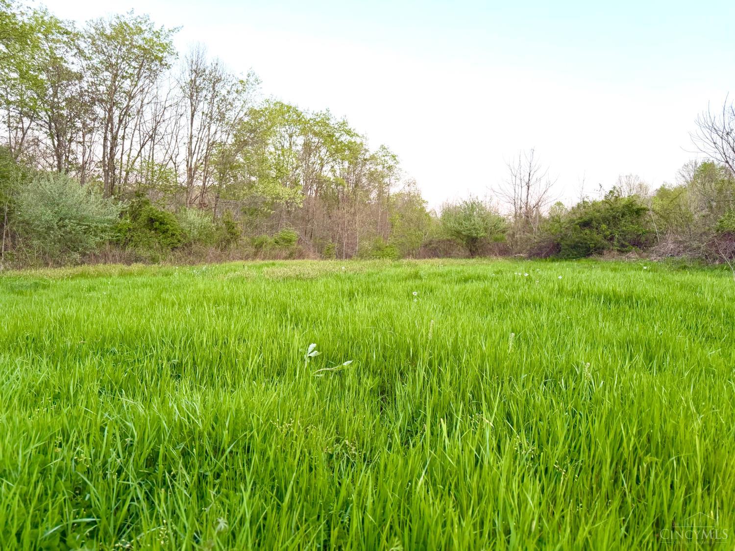 St Rt 279 Property Photo 4