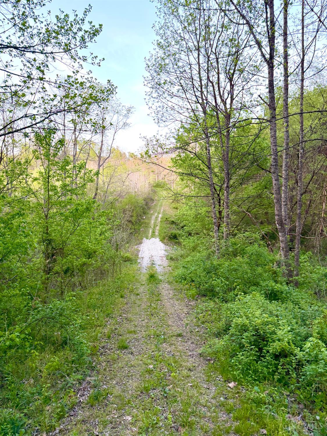 St Rt 279 Property Photo 19