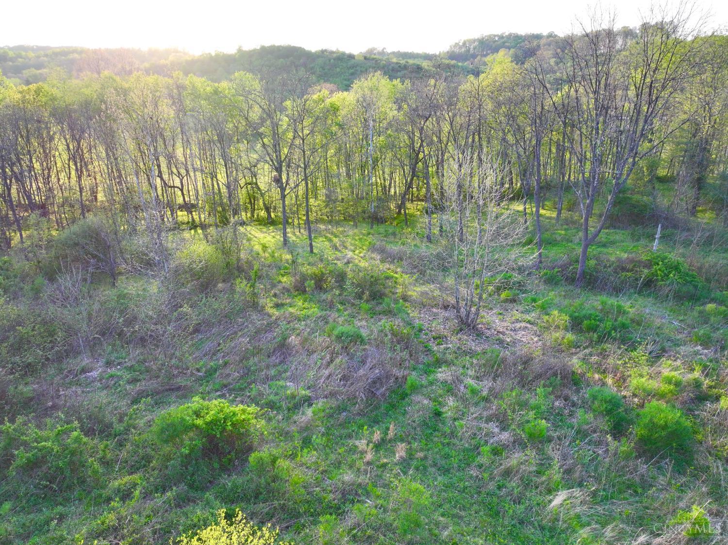 St Rt 279 Property Photo 23