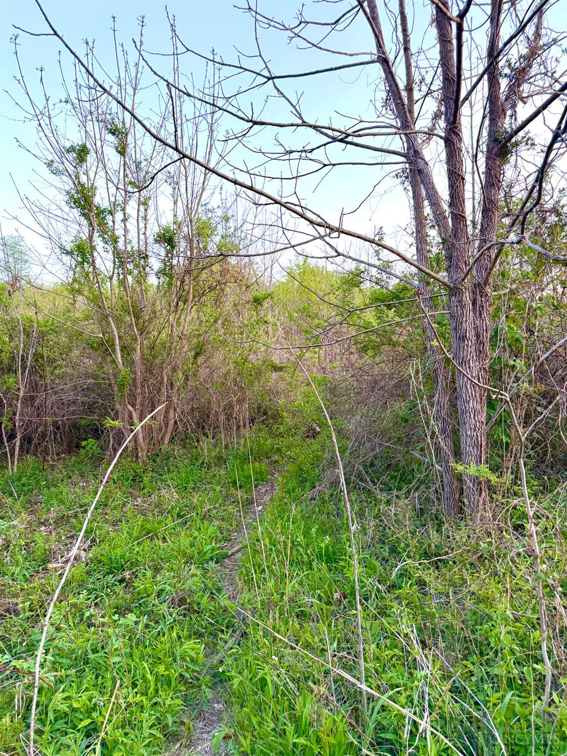 St Rt 279 Property Photo 33