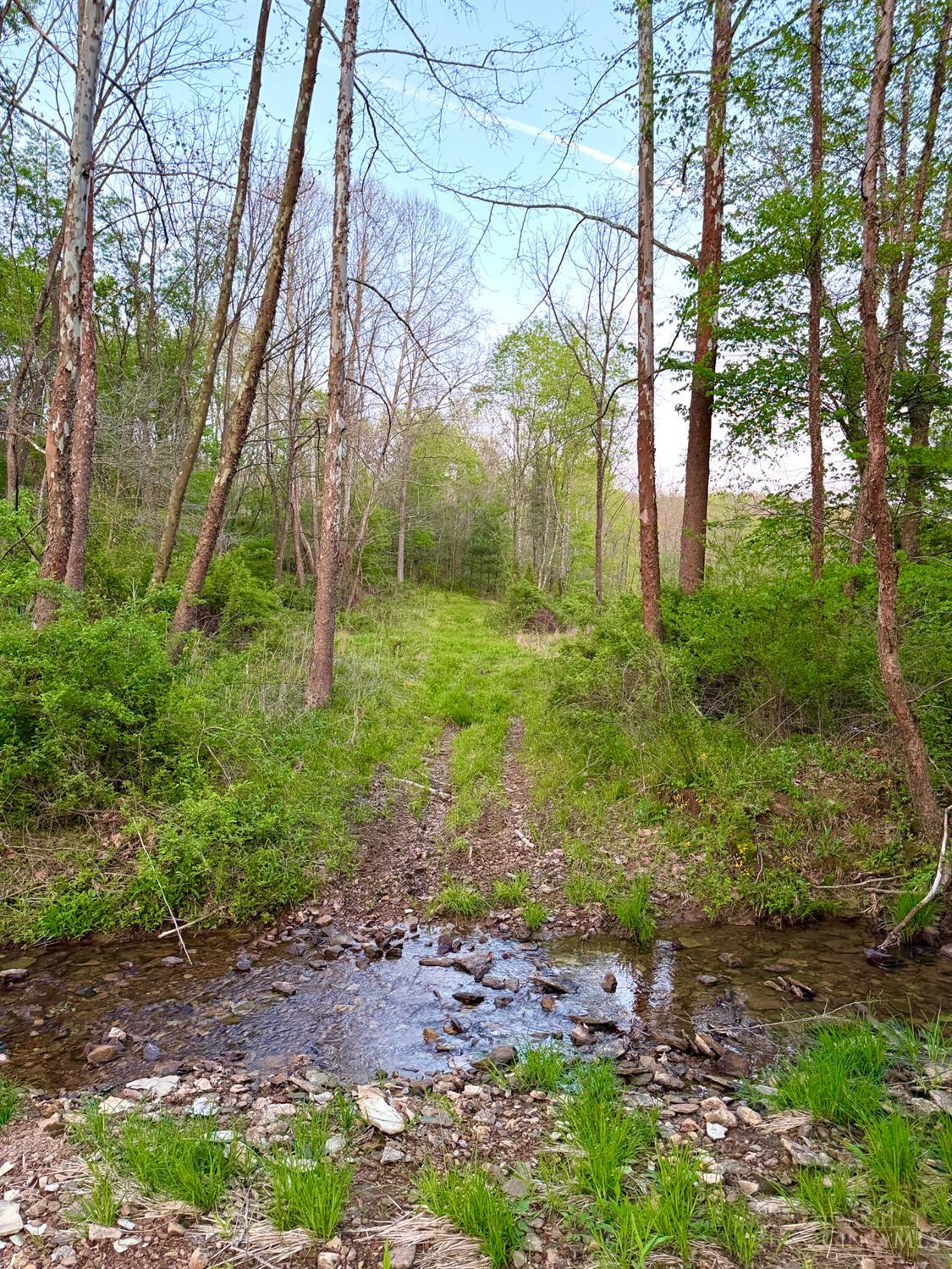 St Rt 279 Property Photo 37