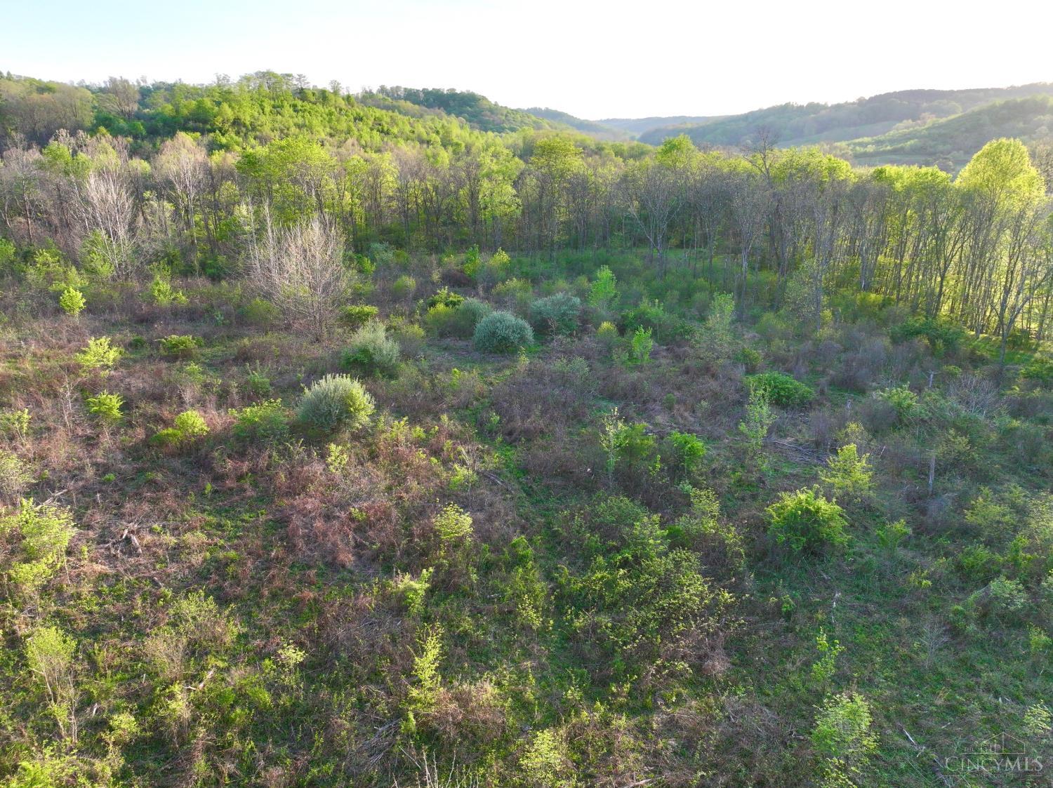 St Rt 279 Property Photo 43