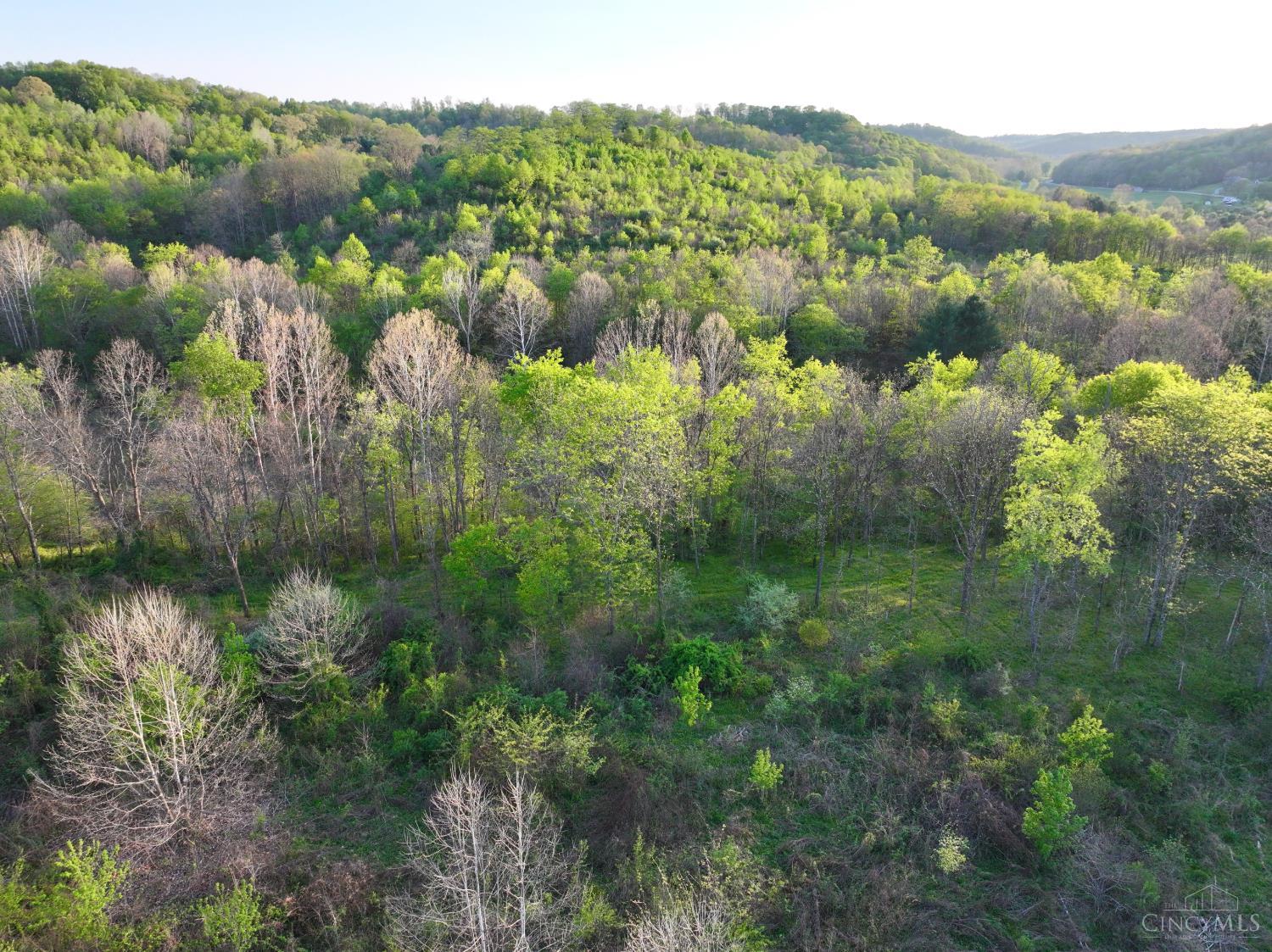 St Rt 279 Property Photo 46