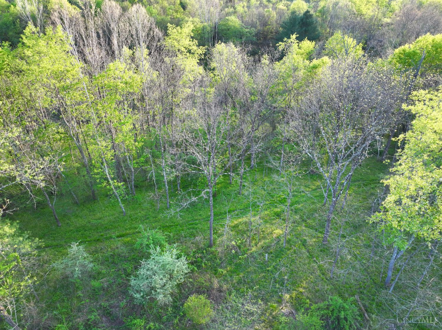 St Rt 279 Property Photo 47