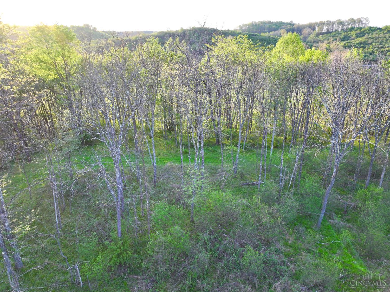 St Rt 279 Property Photo 48