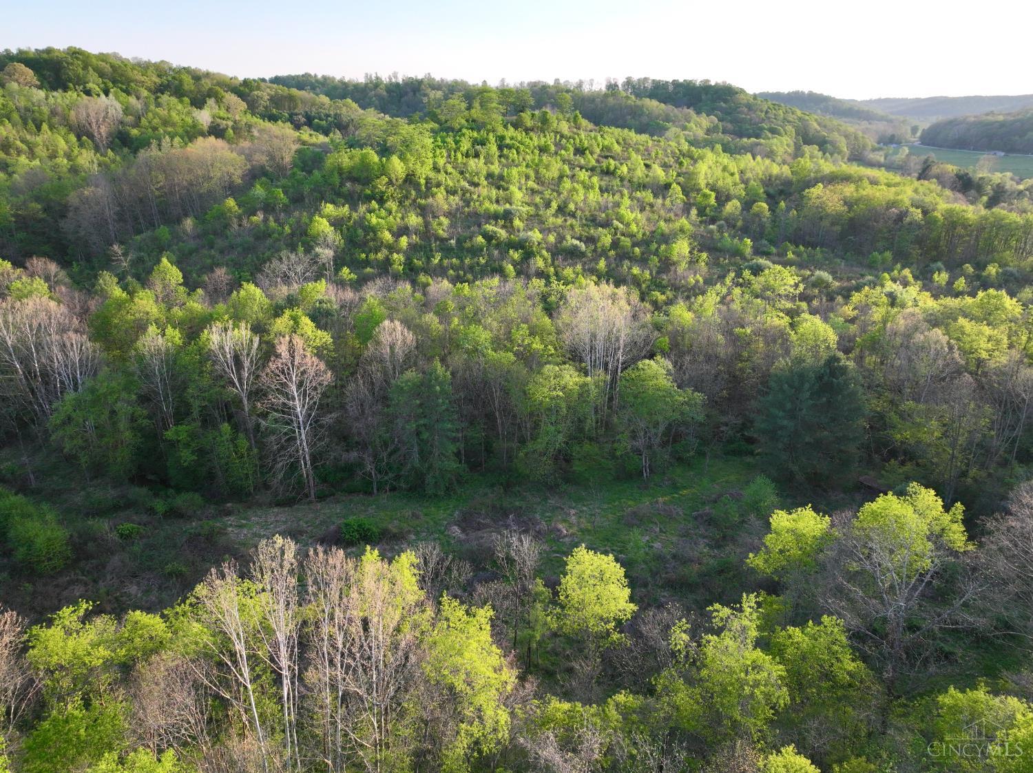 St Rt 279 Property Photo 49