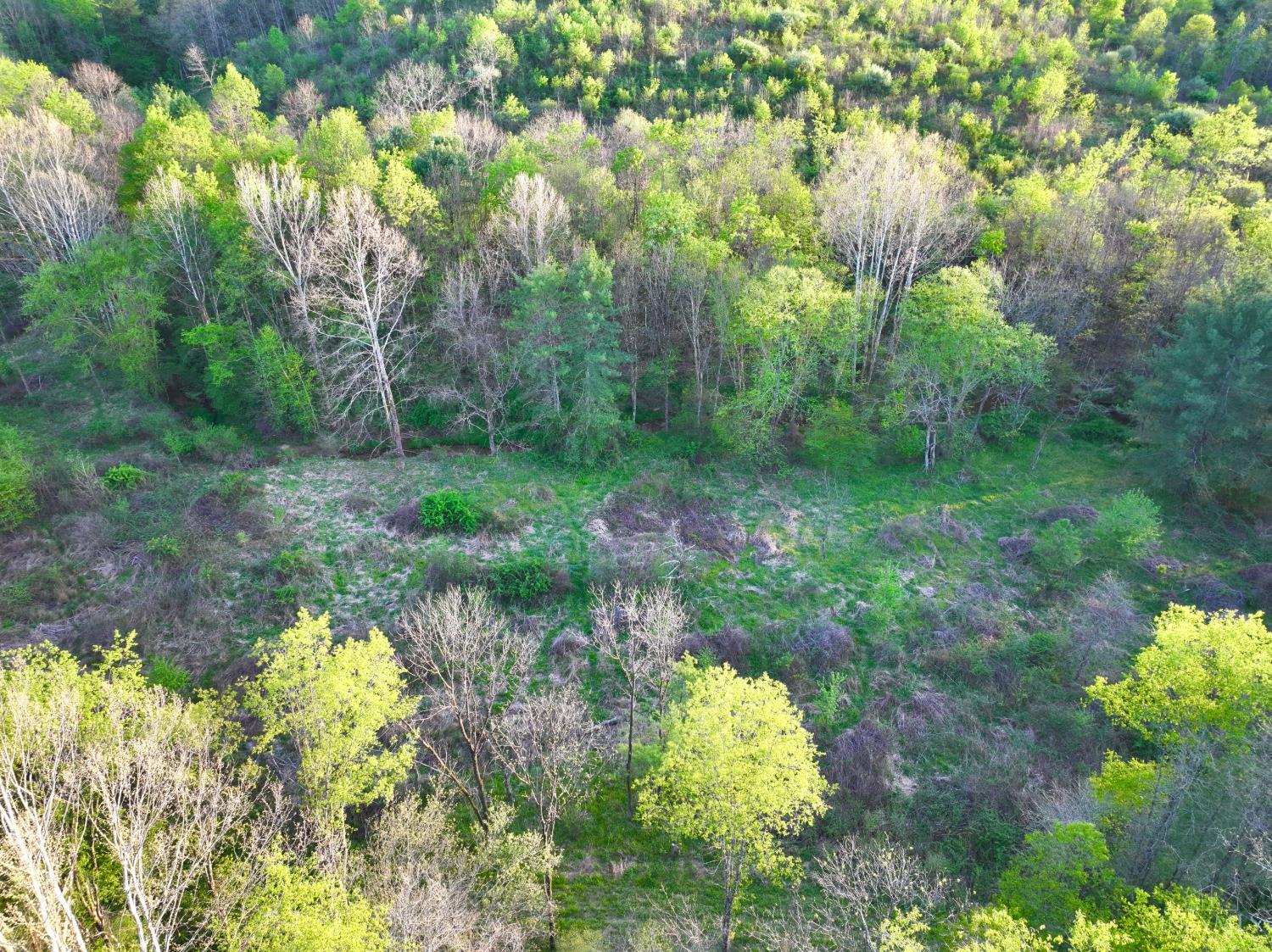St Rt 279 Property Photo 50