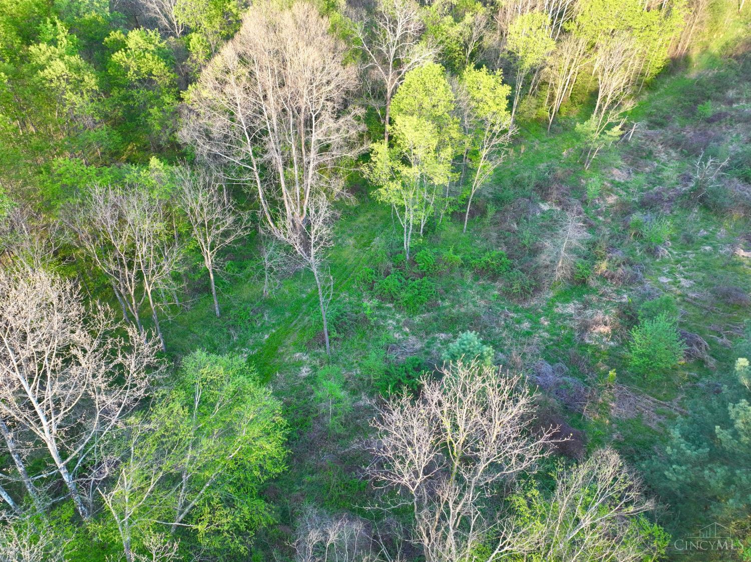 St Rt 279 Property Photo 51