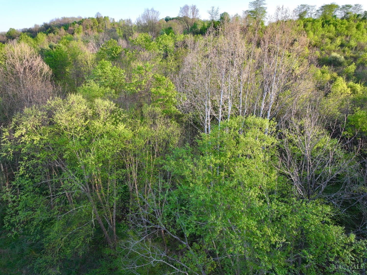 St Rt 279 Property Photo 52