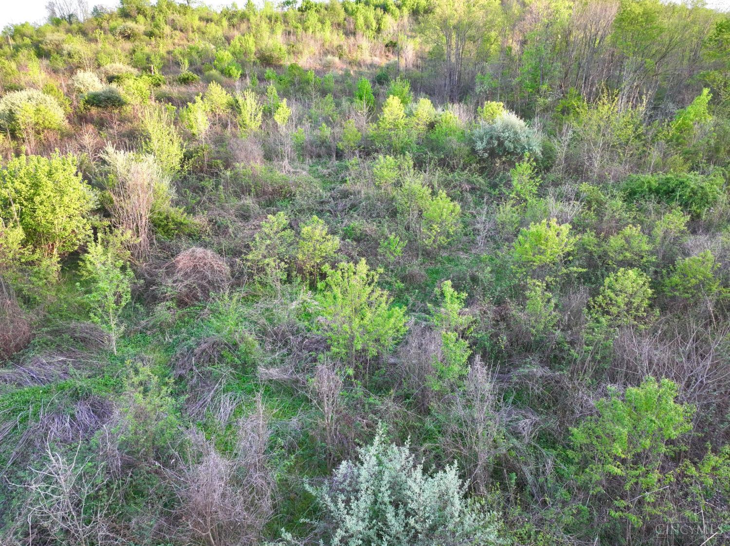 St Rt 279 Property Photo 55