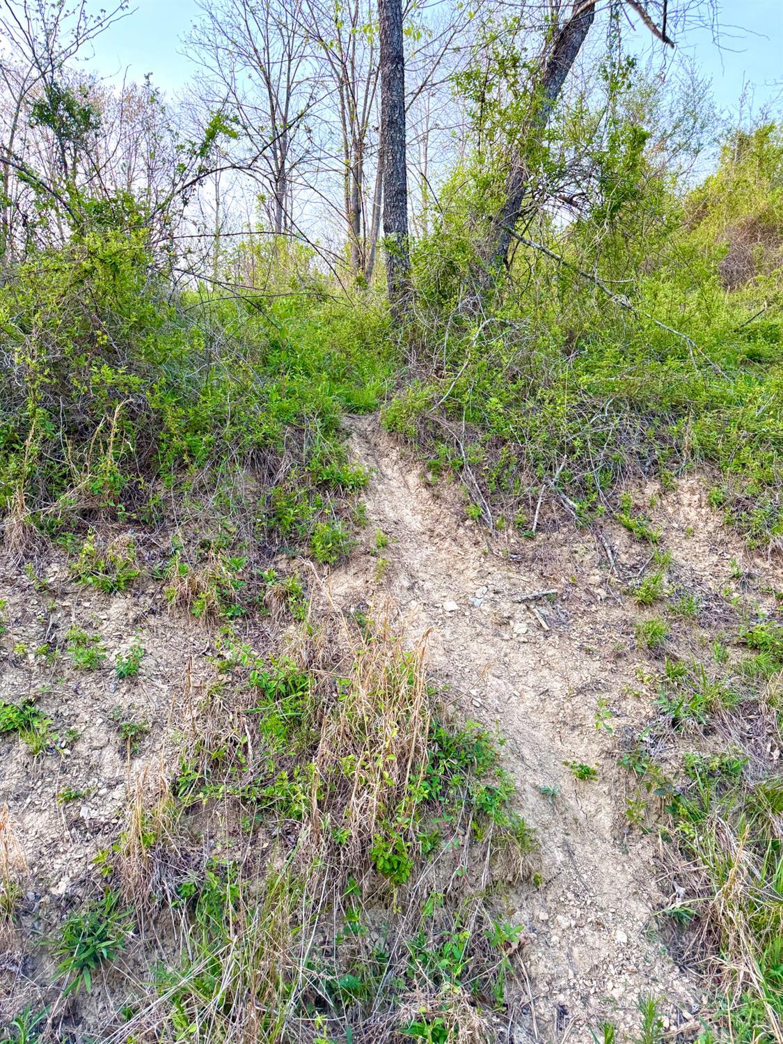 St Rt 279 Property Photo 72