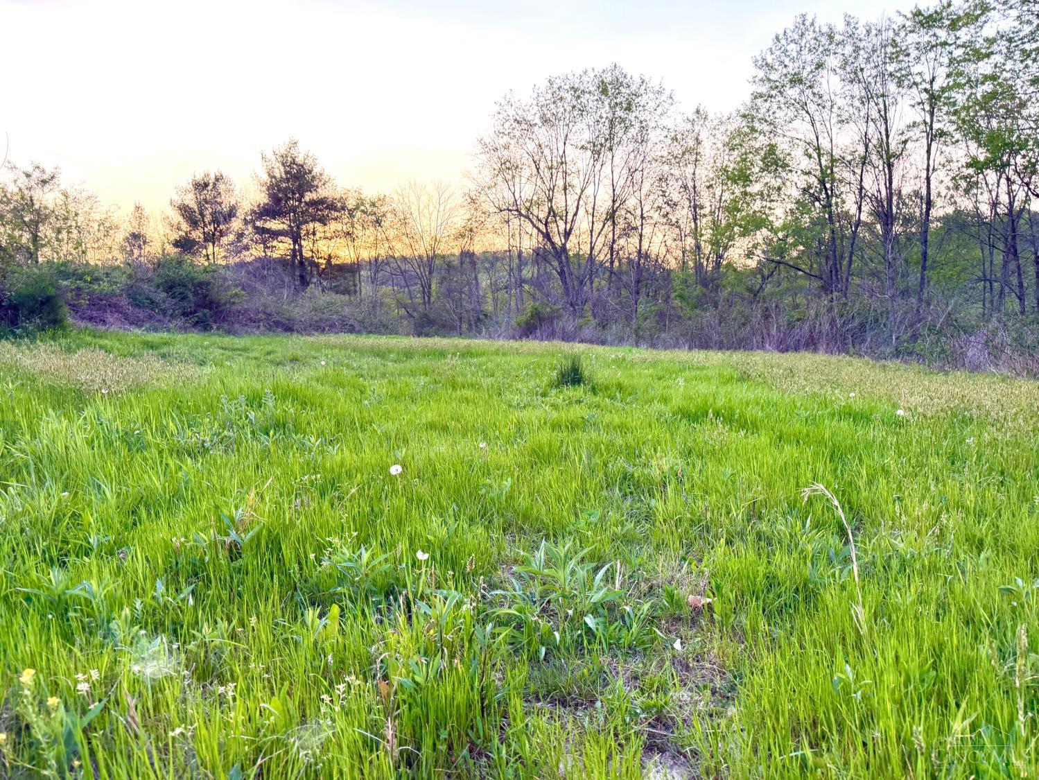 St Rt 279 Property Photo 74