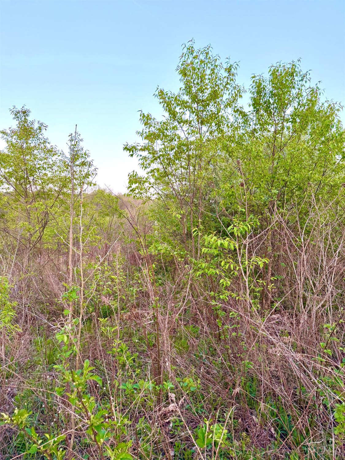 St Rt 279 Property Photo 77