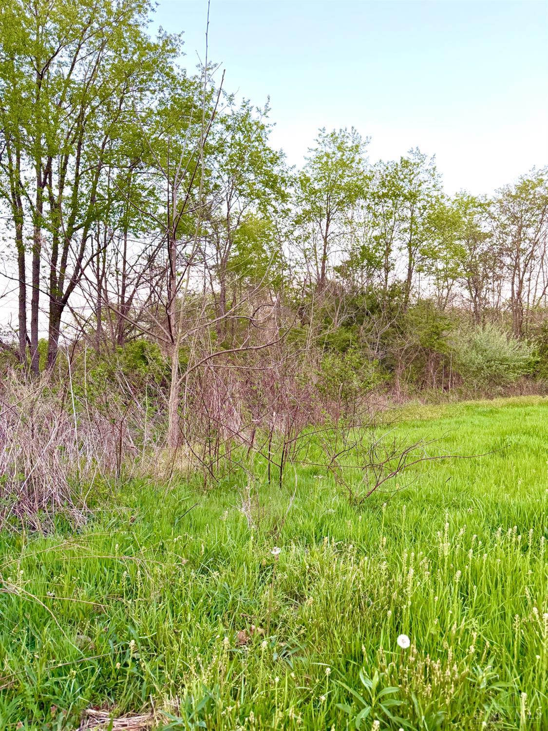 St Rt 279 Property Photo 78