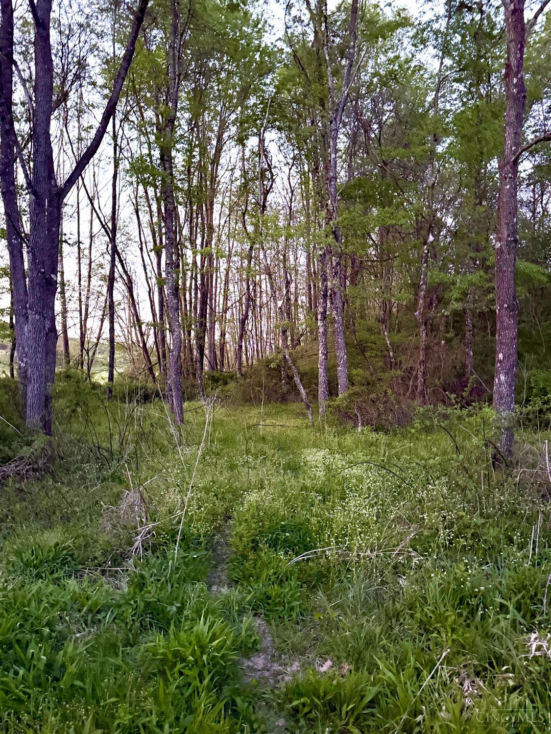 St Rt 279 Property Photo 82
