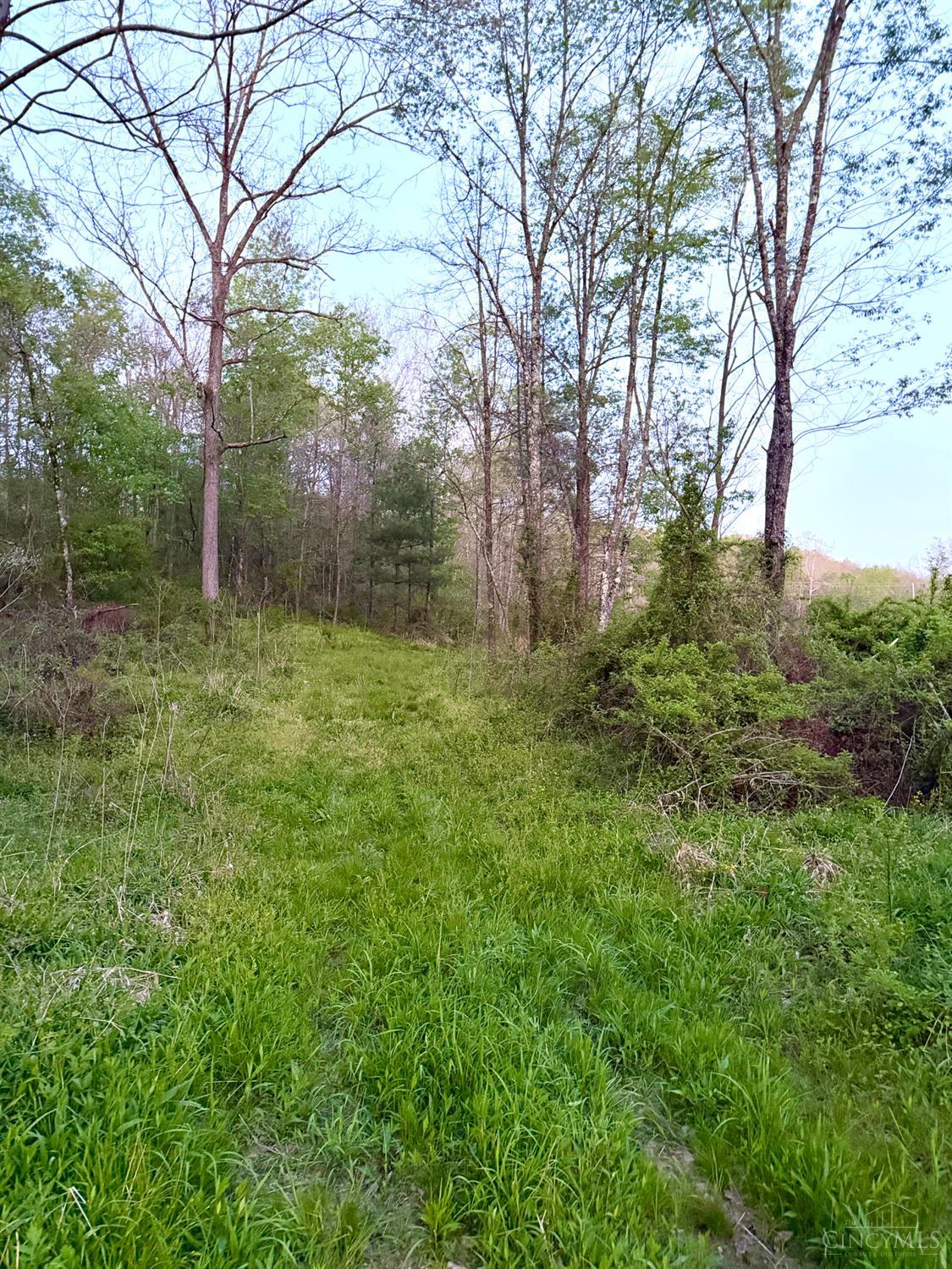 St Rt 279 Property Photo 84