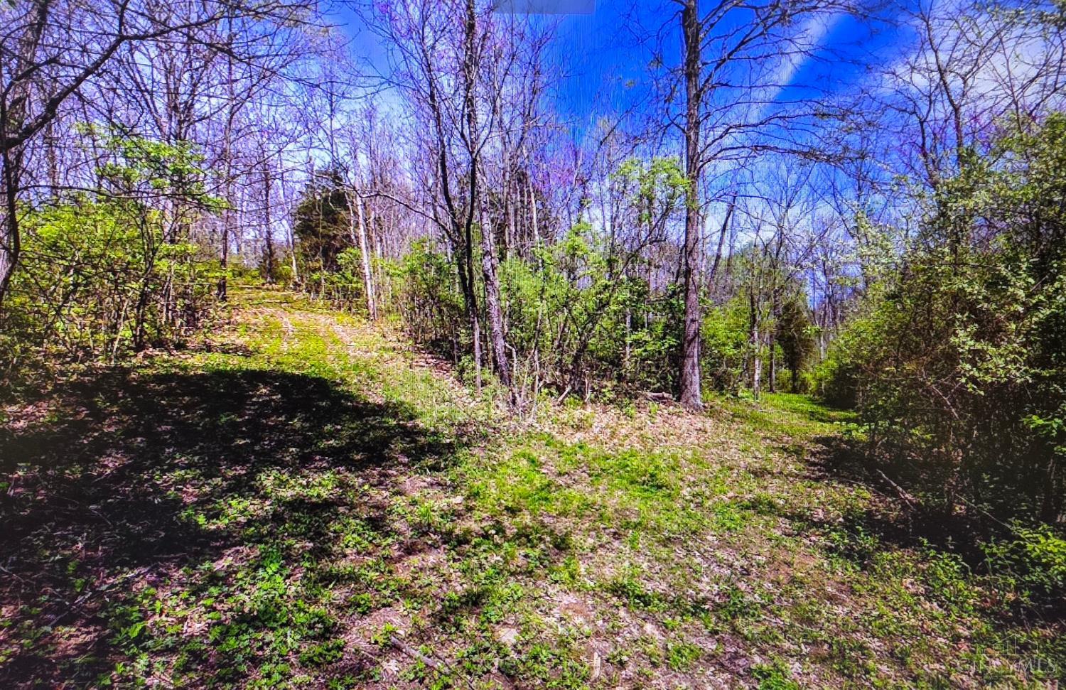 Carolina Trace Road Property Photo 1