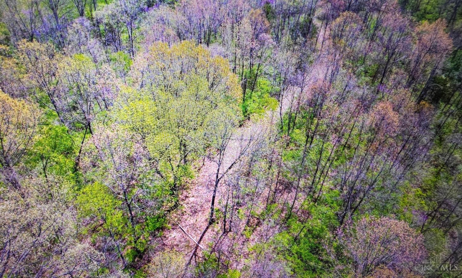 Carolina Trace Road Property Photo 3